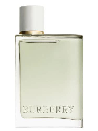 burberry my burberry edt|Burberry her eau toilette 2022.